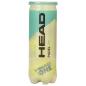 Preview: Head Padel ONE - Karton 24x3er Dose